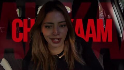 Honey Singh Biki Ni VN Template preview inside VN Video Editor app